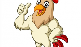 鸡动漫,萌鸡奇遇记